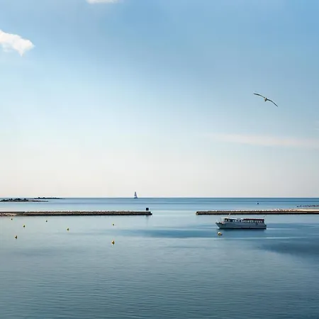 Apartment Design Bellevue